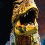 Walking With Dinosaurs T-Rex