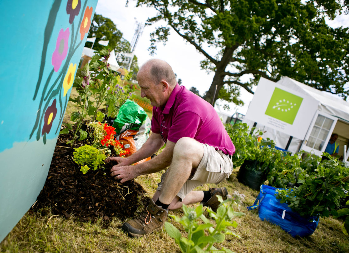 Bord Bia's Bloom 2018 Ticketmaster IE Blog