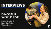 Dinosaur World