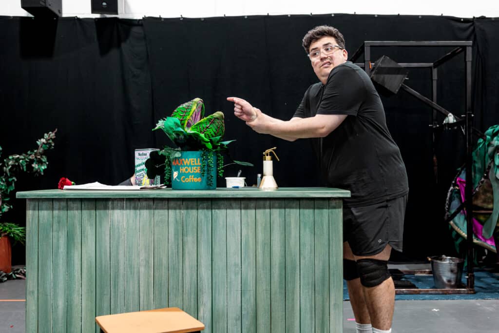 Little Shop of Horrors, credit: Cian O'Riain