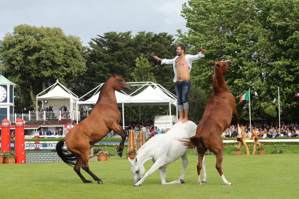 Equestrian performer balancing on a white horse during a live arena display at the Dublin Horse Show.