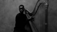 Dave - The Boy Who Played The Harp